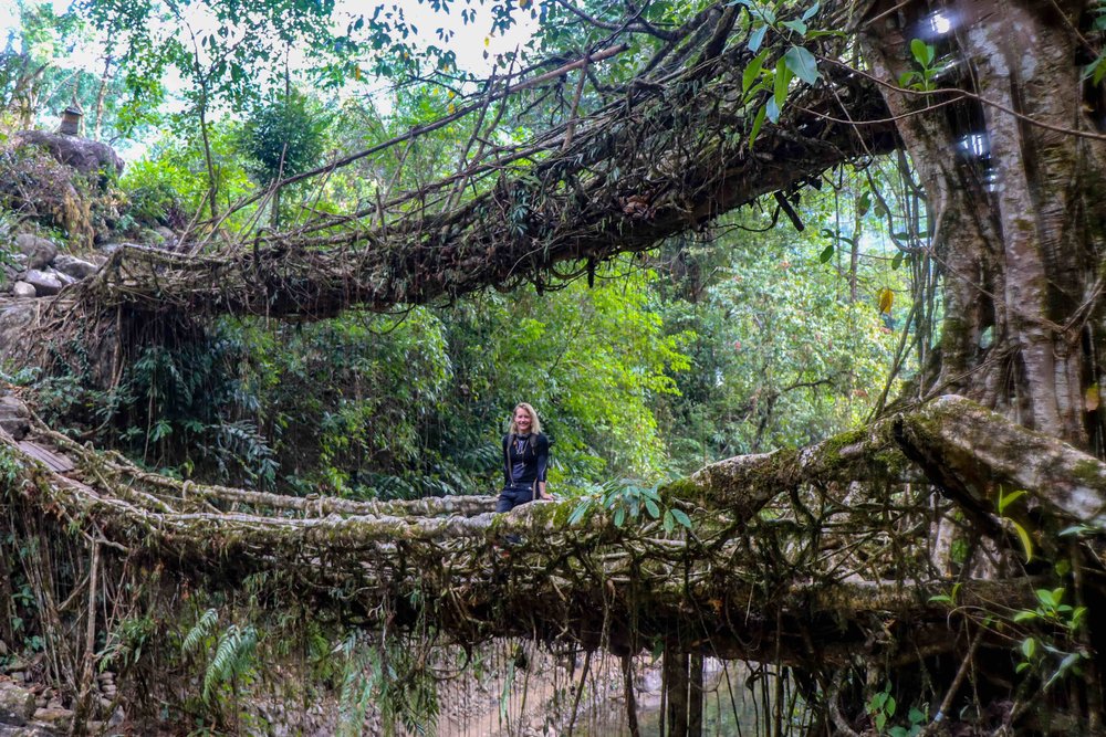 Double Decker Living Root Bridge in Cherrapunjee, India - Meghalaya, North Eastern States.